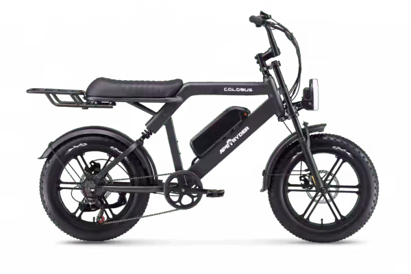 Ape Ryder Colobus Premium E-bike - Hoogwaardige Elektrische Fiets kopen bij TradeFix