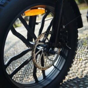 Ape Ryder Colobus Fatbike - Elektrische fiets 20 inch - All Terrain E-bike voor Heren/Dames -