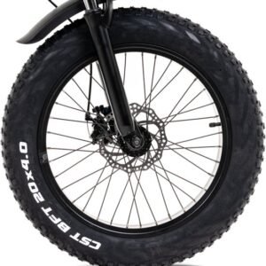 CST BFT Fatbike buiteband - 20x4.0 - 20x4 - Knaap - Ouxi - La Souris - v8 - h9 - v20 - v30