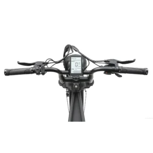 Display Ape Rider A10 compleet met knoppen