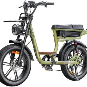 QmWheel V20 Comfort Fatbike - dubbele vering - 250W motor - 48V 15Ah accu - groen 2026