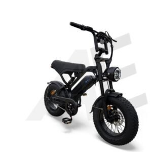 QmWheel V20 Mini Fatbike Kinderfatbike met Hydraulische Remmen - Zwart
