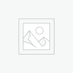 Elektrische fatbikes